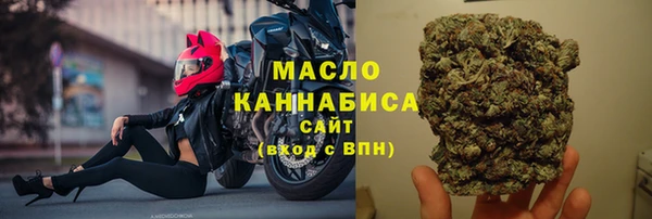 тгк Каменногорск