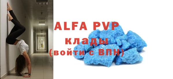 тгк Каменногорск