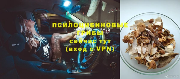 тгк Каменногорск