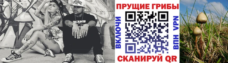 blacksprut рабочий сайт  Демидов  Псилоцибиновые грибы Magic Shrooms 